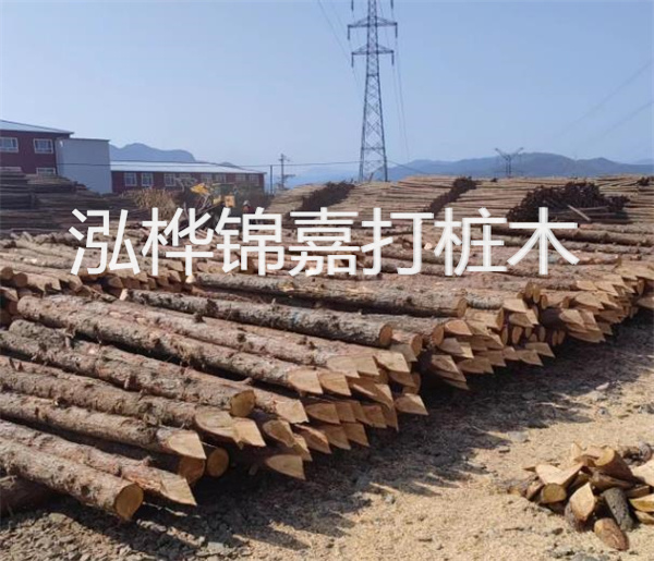 高效、穩(wěn)定的松木樁圍護施工圖
