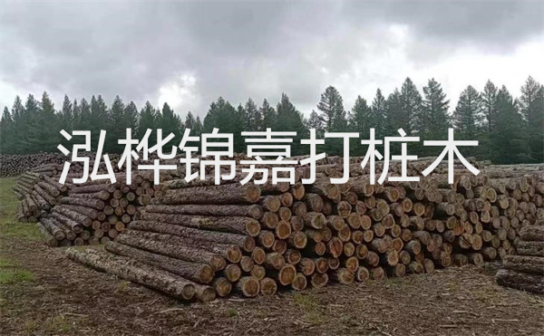 河道松木樁施工方案，保護水環(huán)境，促進生態(tài)恢復(fù)