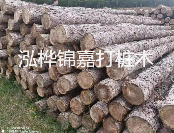 打造水面穩(wěn)定基礎(chǔ)，水面打松木樁施工順序