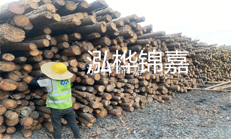 廣東河道松木樁施工，保護(hù)水域環(huán)境的重要工作