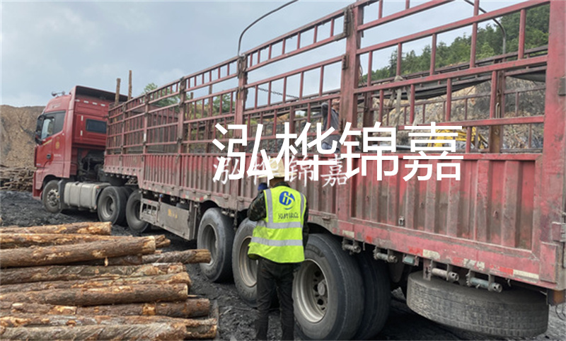 定安河道仿松木樁施工，打造環(huán)保生態(tài)水域