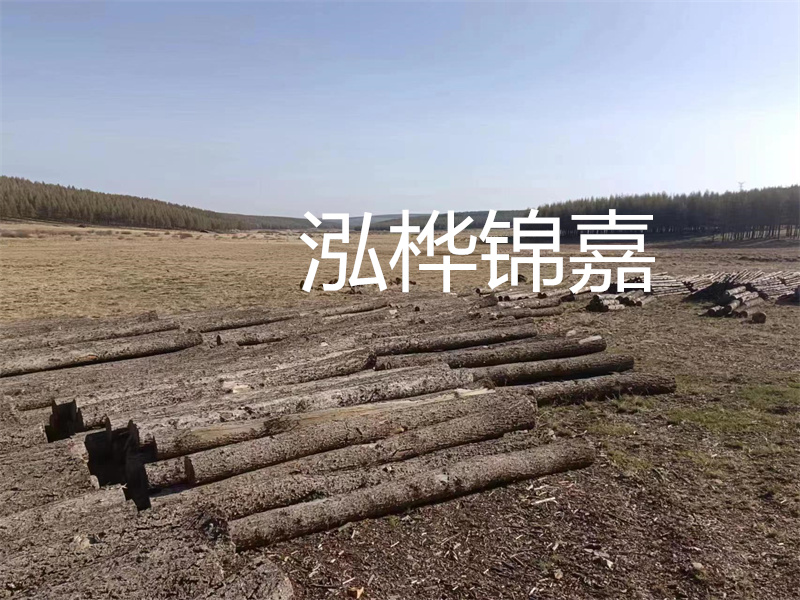 以質(zhì)量為導向，探索實用性與高效性——仿松木樁施工機械價格